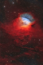 Valentine Rose Nebula
