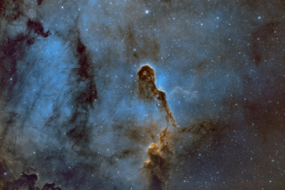 IC1396-SHO_18-19-20&21-06-2026_002b